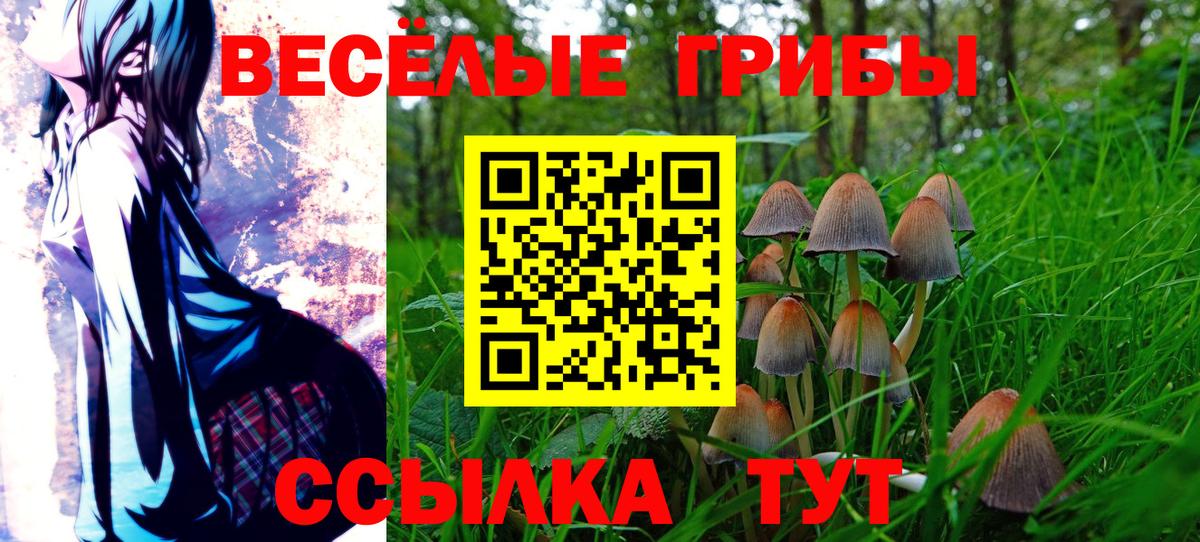 что такое наркотик  Вход с VPN  Псилоцибиновые грибы Psilocybine cubensis  Коломна  Галлюциногенные грибы GOLDEN TEACHER 