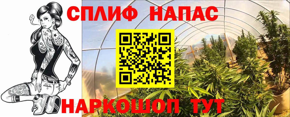Каннабис MAZAR Коломна
